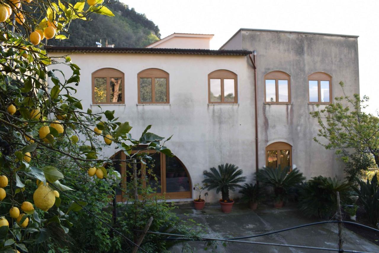 Achille Home B&B Sorrento Exteriör bild